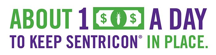 Parkland Termite Inspection, Treatment, Control, and Prevention